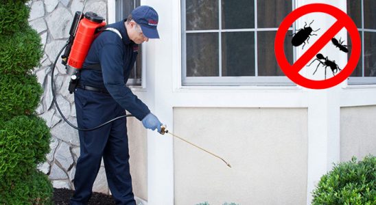 Sasalı Gümüşkurt İlaçlama böcek ilaçlama ve haşere kontrolü — ilaclama-tr.com